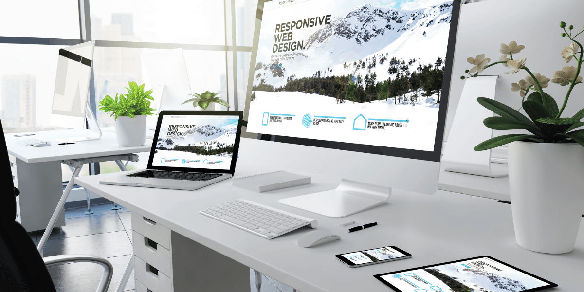 Web Designer